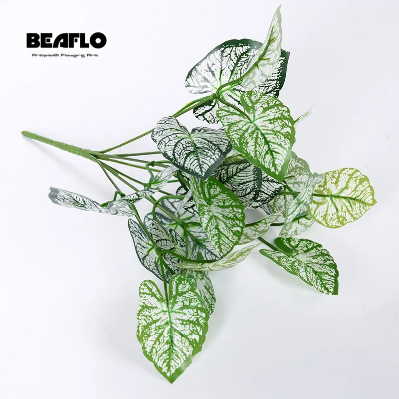 8948405061_727944227