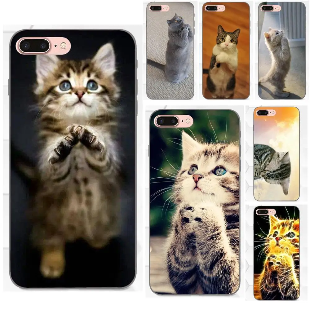 

TPU 2017 New Arrival Praying Kittens Cats Cute Plastic For Apple iPhone X XS Max XR 4 4S 5 5S SE 6 6S 7 8 Plus