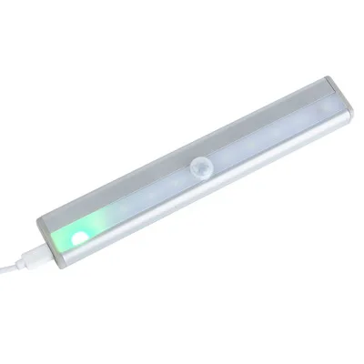 body induction led