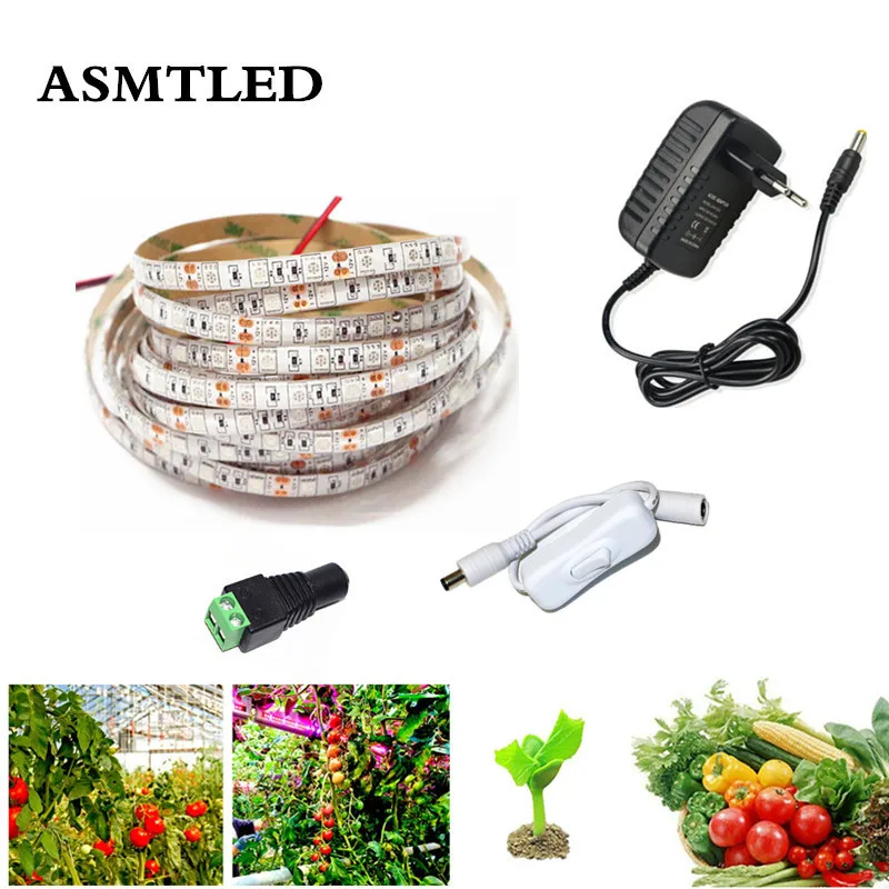 

1M 2M 3M 4M 5M LED Grow Light SMD5050 12V Growing LED Strip Plant Growth Light + switch + EU/US Adapter for vegetable greenhouse
