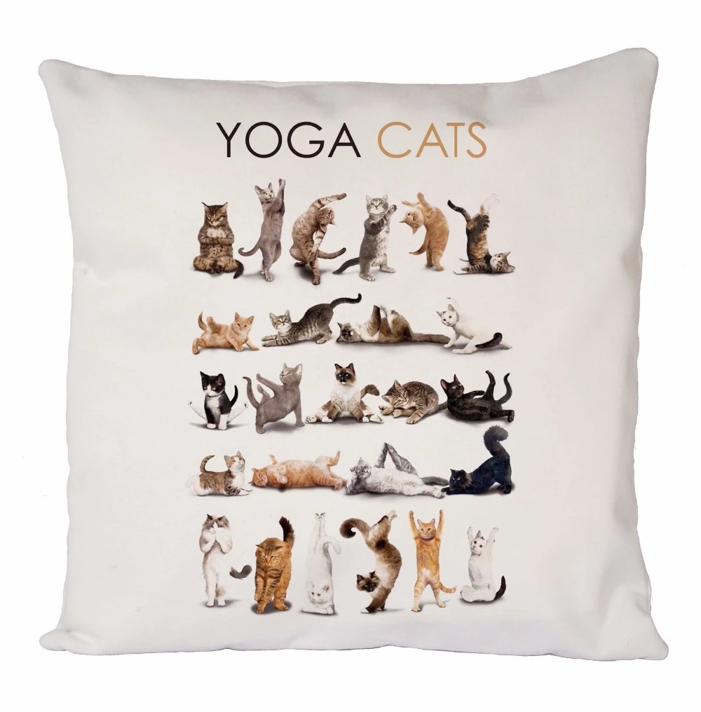 Gato /& Perro Amante temática Fundas Almohada De Regalo Regalo Divertido parejas Noche De Bodas Regalo