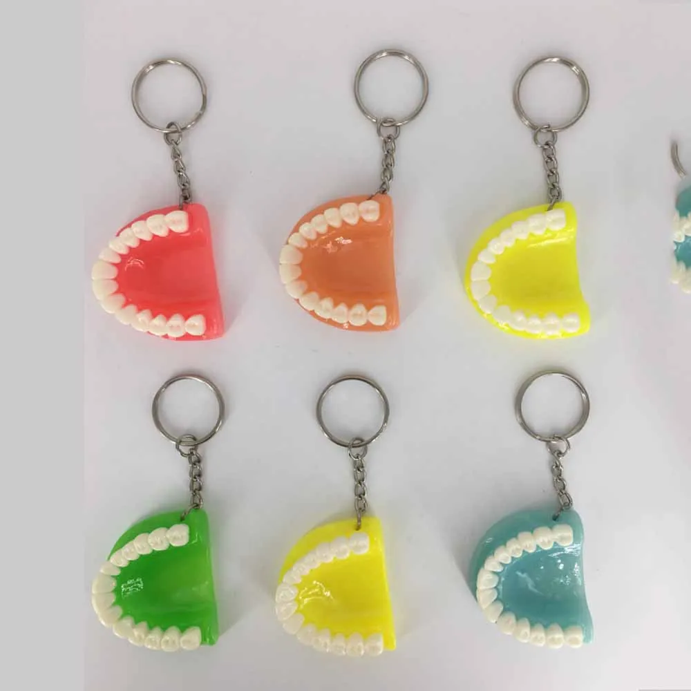 Dental Accessories Tooth Keychain Resin Molar Upper Jaw Model Shape