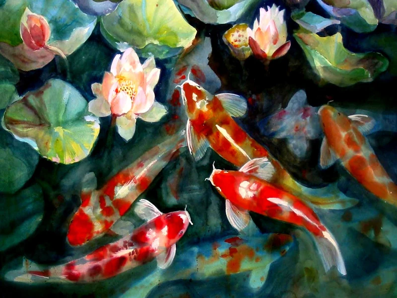 164456774-koi-wallpapers