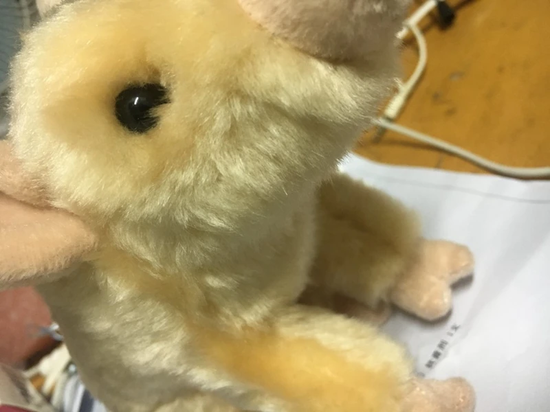 cute pig plush doll animals pig doll plush toy simulation animal wild boar dolls kids and adults gift 6.7inch 17cm DY50347 (2)