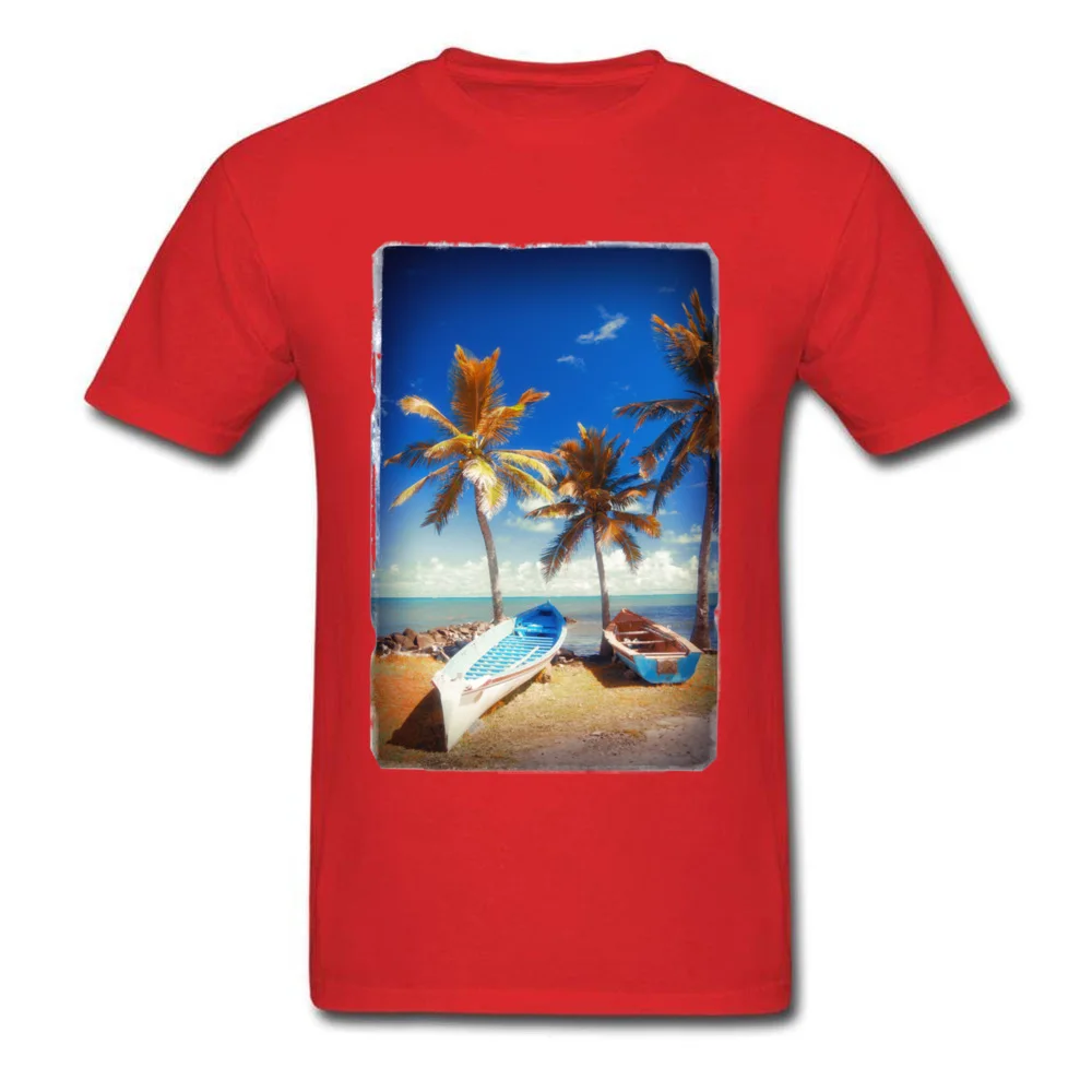 Boats and Palm_red