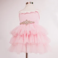 Новинка года; детские кружевные платья с блестящим поясом; милая танцевальная розовая одежда принцессы для девочек; 5 шт./партия;
