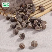 Новые консервированные растения moringa рождественские украшения Натуральные Сушеные 10 частиц/мешок