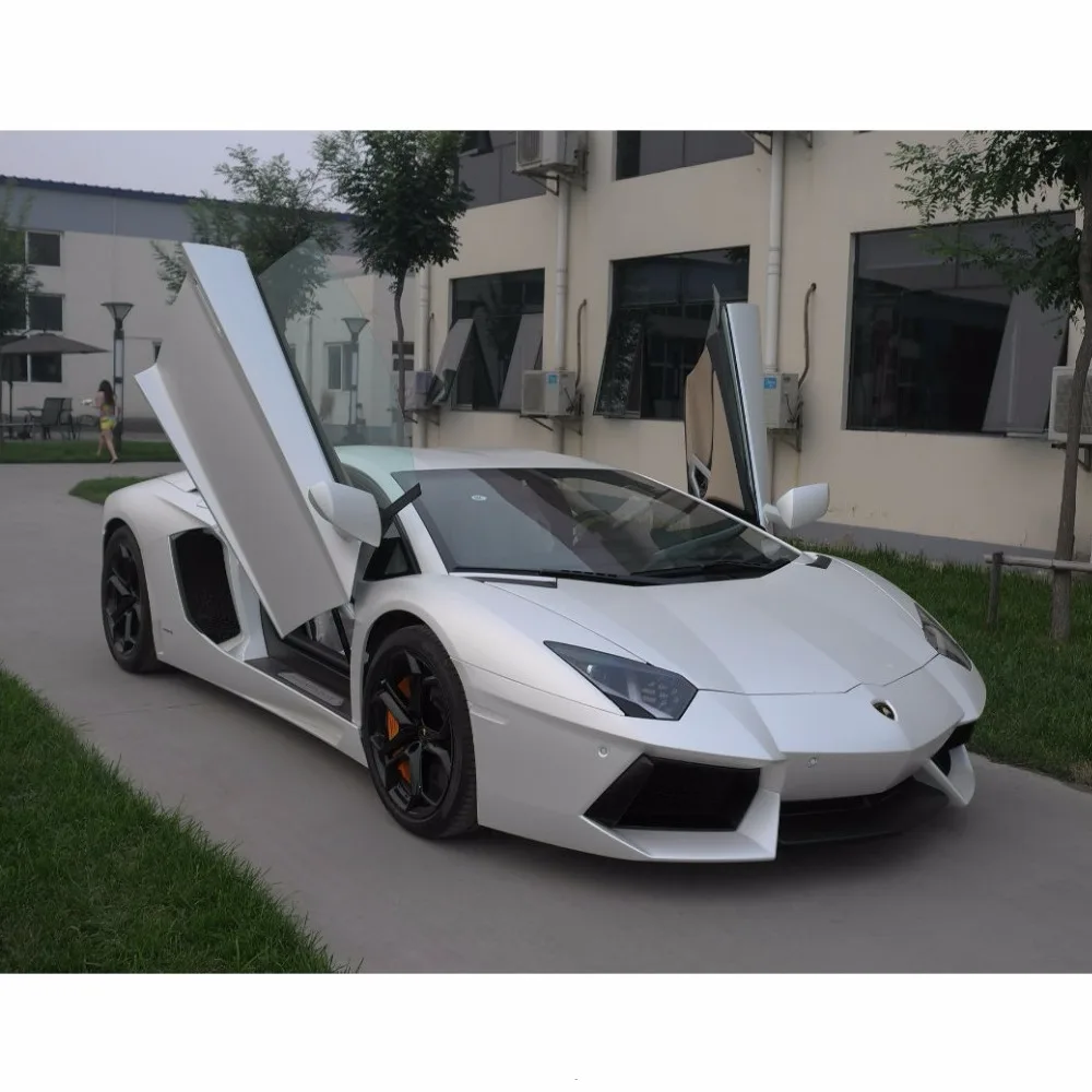 Автомобильный корпус двери LAMBO для любого автомобиля универсальные lambo|Рычаги