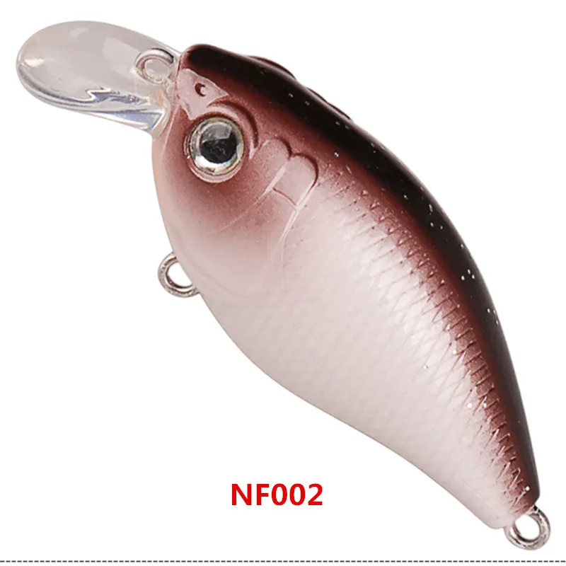 NF002_