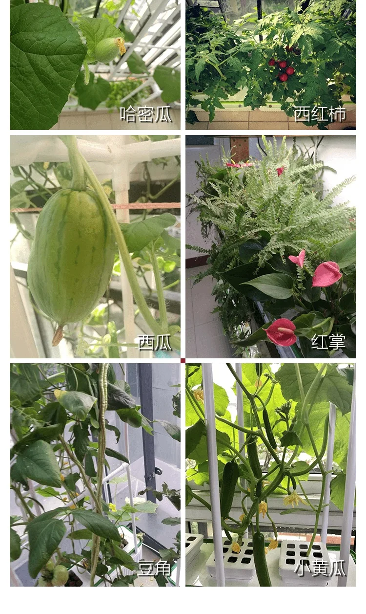 Два набора Mulifunctiinal DIY выращивать овощи фрукты цветок в гостиной или балкон Гидропоника системы без земли зеленый сад