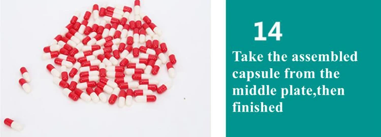 Capsule Filling Machine08
