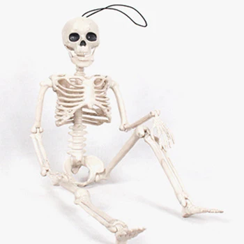 

Hanging Skeleton Prop Plastic Skull Human Bones Christmas Halloween Decoration Simulation of Human Body Plastic Toys