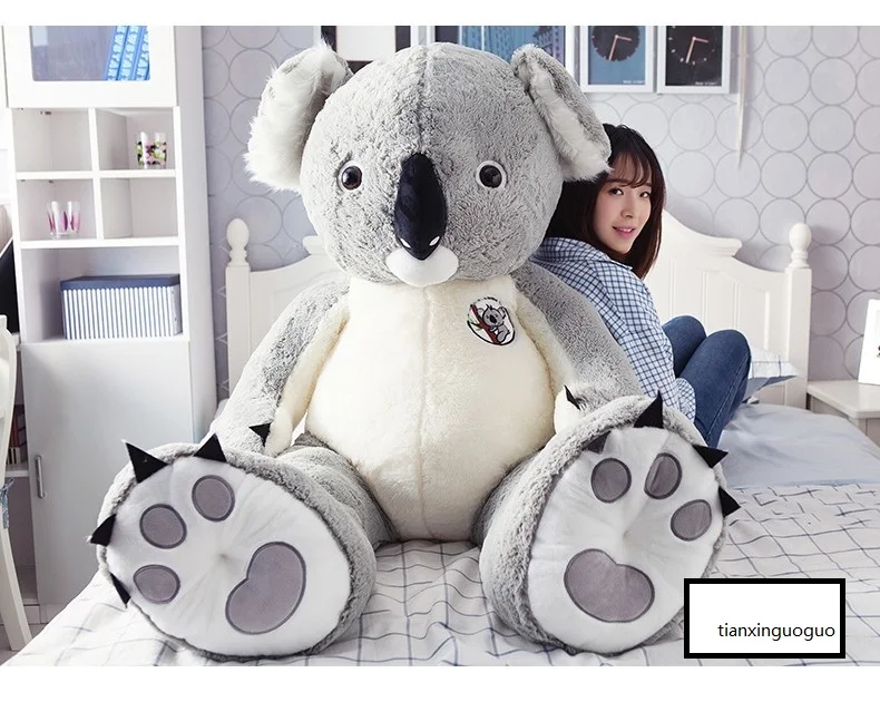 koala bear doll