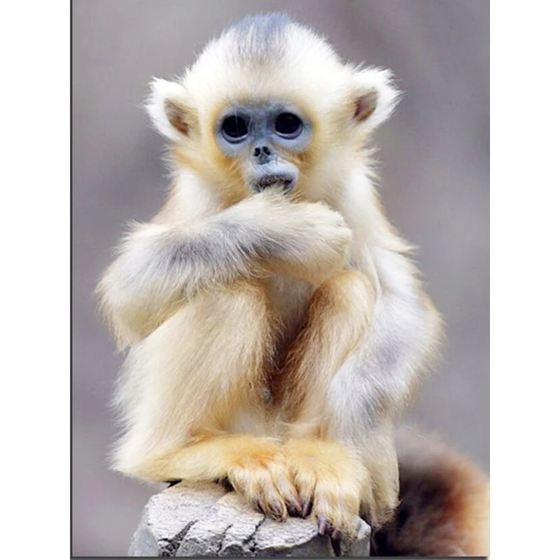 Needlework Diy Diamond Painting 3D Diamond Embroidery White Monkey Pattern Cross Stitch Full Mosaic Hobby Crafts Gifts