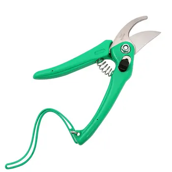 

Gardening Tools Stainless Steel Potted Dead Leaves Seedlings Pruning Scissors Creative Effort Fruit Branch Scissors