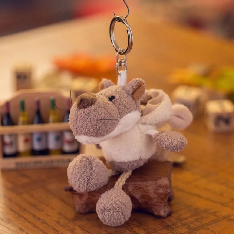 PhotoCap_004