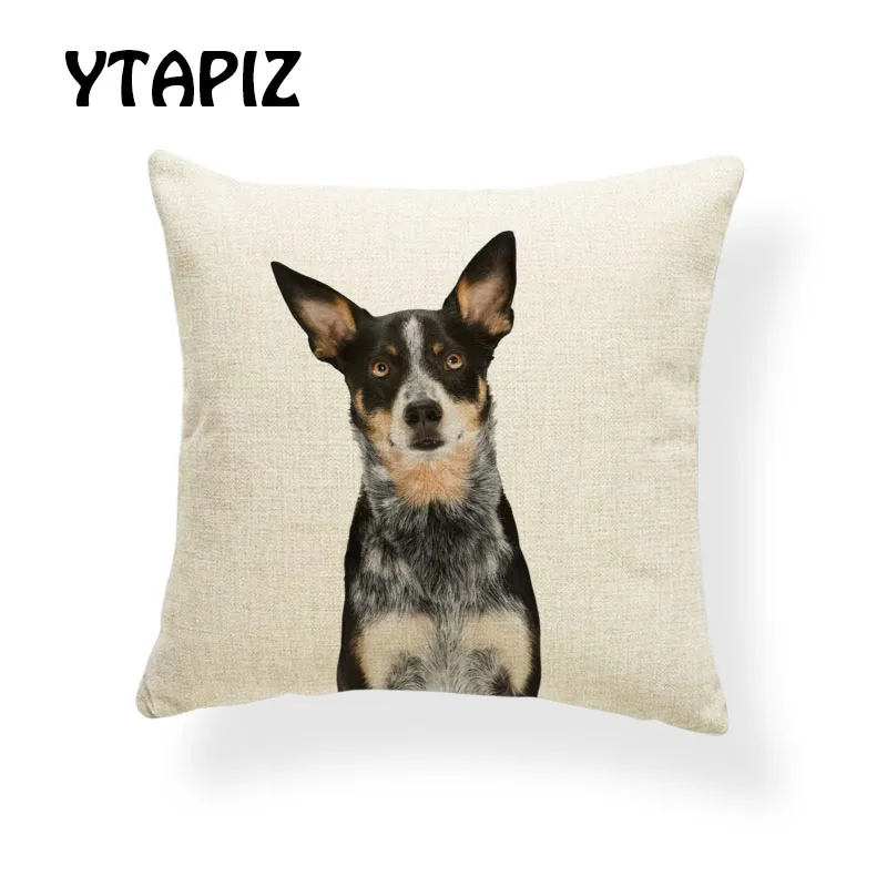 Роскошный питомец МАЛЬТИЙСКАЯ Собака Basset Beagle Schnauzer Shepherd золотистый ретривер