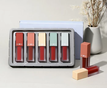 

Lipstick Lip Makeup Kit Long Lasting Waterproof Brown Red Lipgloss Matte Liquid Nude Lipstick Tattoo