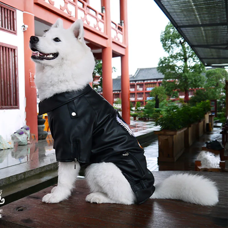 dog leather coat