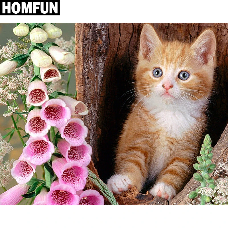 A06476            Animal cat