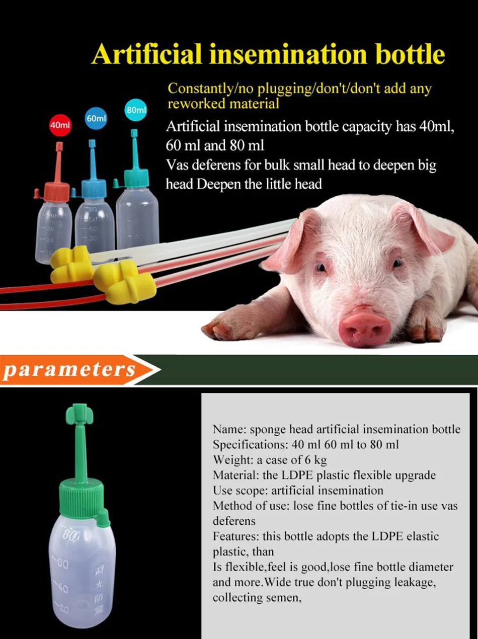 Pig Artificial Insemination Vas Deferens 02