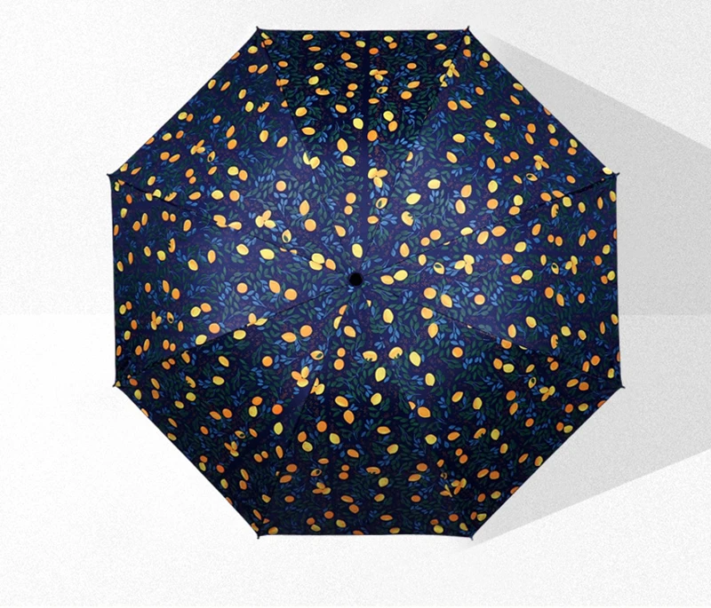 Guarda Chuva Masculino (10)