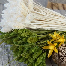 20Pcs Dried Natural Flower Bouquets Colorful Lagurus Ovatus Bouquets Uraria Picta Rabbit Tail Grass Bouquets Bunches 20Pcs Dried Natural Flower Bouquets Colorful Lagurus Ovatus Bouquets Uraria Picta Rabbit Tail Grass Bouquets Bunches