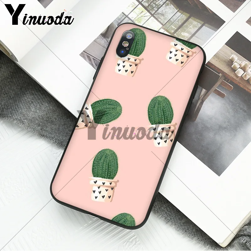 Awesome Cacti Cactus