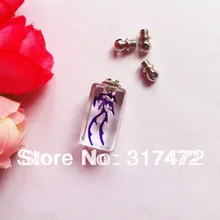 Стекло подвеска в виде флакона с крышкой кулон для рисового искусства/подвеска для эфирного масла винта Кепки