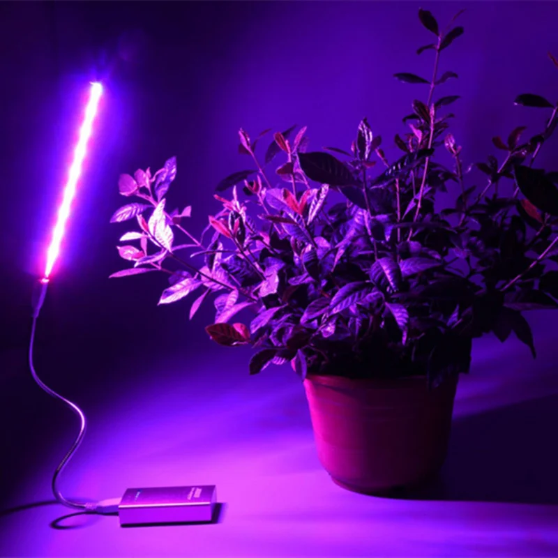 USB Светодиодная лампа для выращивания растений 5V 2,5 W полный спектр светодиодные лампы цветок, растение, свадебная брошь, Фито роста лампы для парниковых гидропоники для выращивания растений