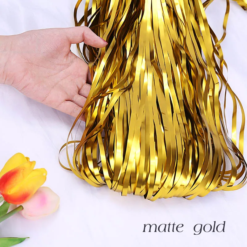 Matte Glitter Fringe Curtain for Birthday Party and Event Decoration