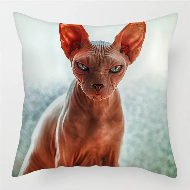 PC07373 Fuwatacchi милый чехол для подушки с кошкой размером 45*45 см канадский голая Наволочки домашние декоративные подушки для дивана, подушка для дома, стула, бросьте, наволочки для подушек - Цвет: PC07373