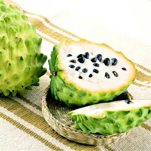 20pcs Soursop Graviola Seeds Best Seeds Online Free