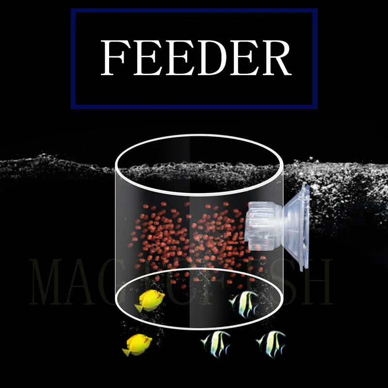 

Transparent Aquarium Feeder Aquarium Feeder Feeding Fish Preventing The Spread of Fish Feed Fish Tank