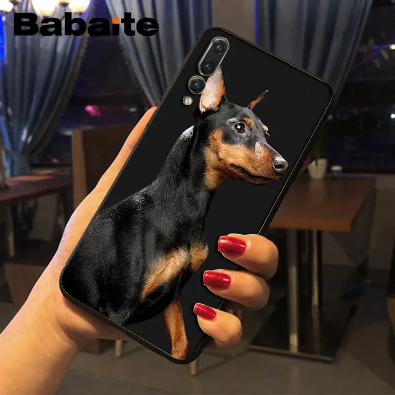 black Dachshund Doberman Dog face
