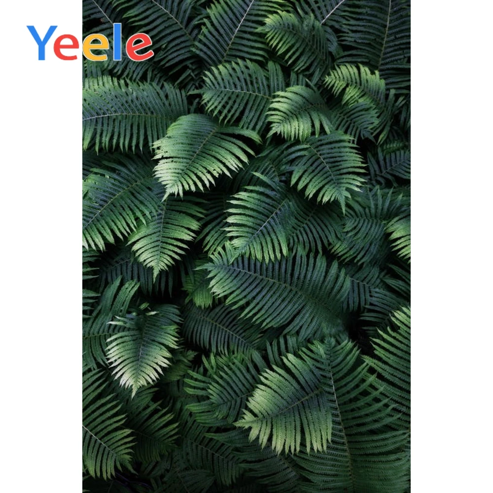 

Yeele Tropical Palm Tree Leaves Birthday Woodland Party Portrait Photo Backgrounds Photography Backdrops For The Photo Studio