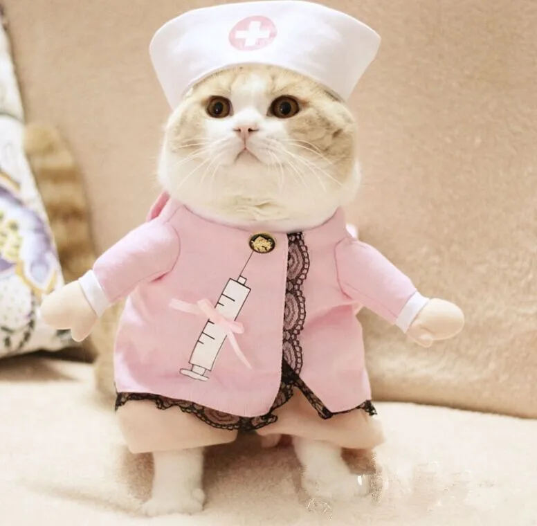 2016Cat-Costume-Cat-Clothes-Sexy-Nurse-Uniform-Free-Shipping-D83