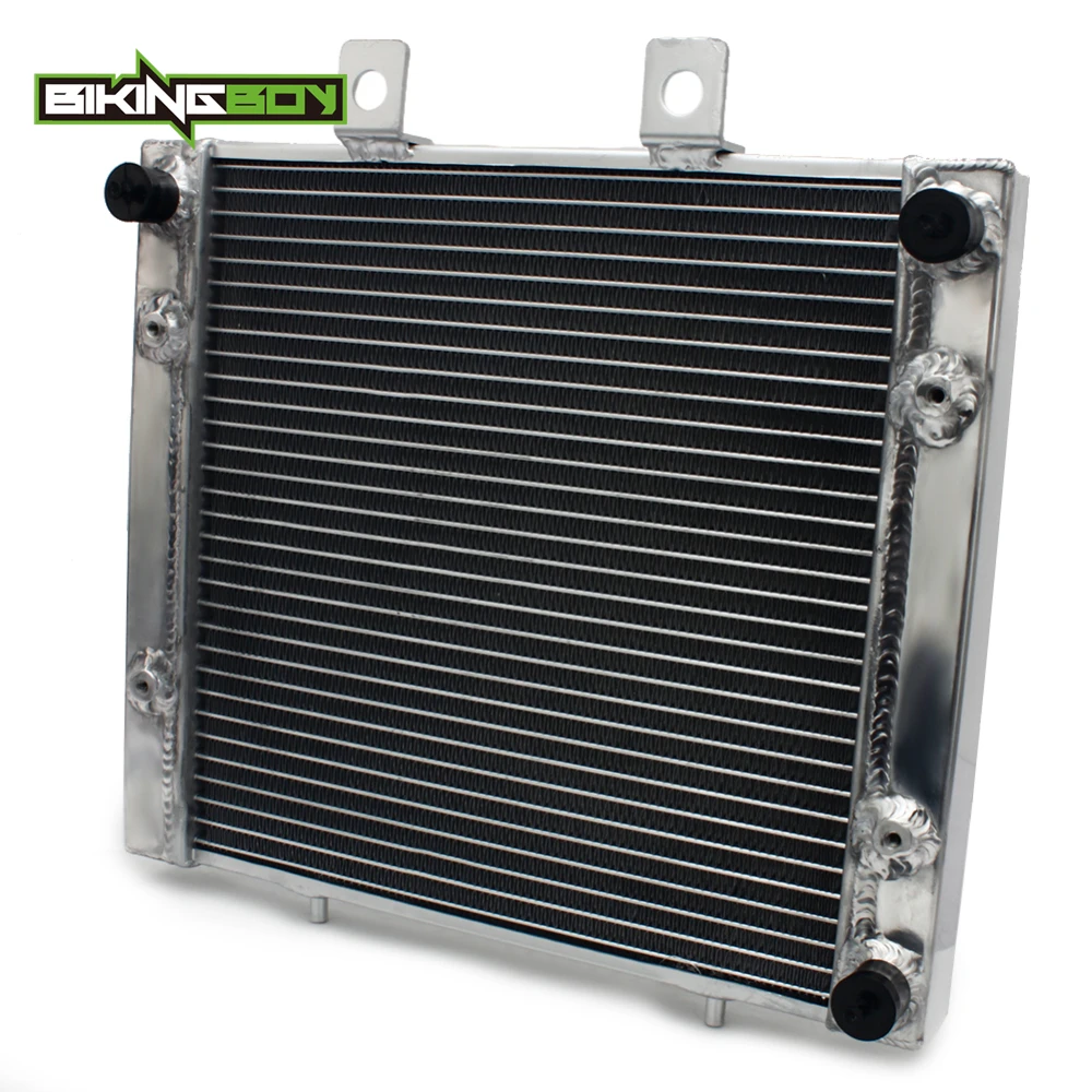 BIKINGBOY для Polaris 400 450 спортсмен 500 HO лесной трактор EFI 570 15 16 17 18 ATV Quad двигатели
