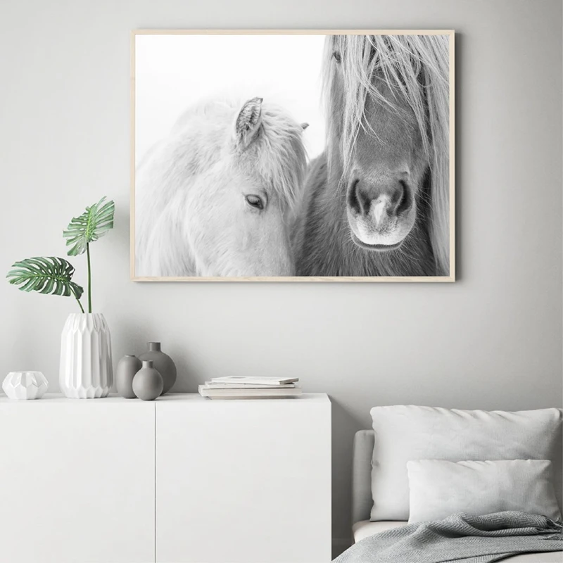Icelandic Horse Print Canvas Art Prints Home Decor