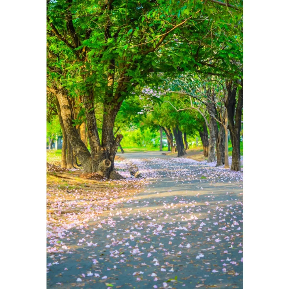 

Laeacco Spring Golden Sunlight Forest Flowers Road Scenic Photography Backdrops Backdrop Custom Backgrounds For Photo Studio