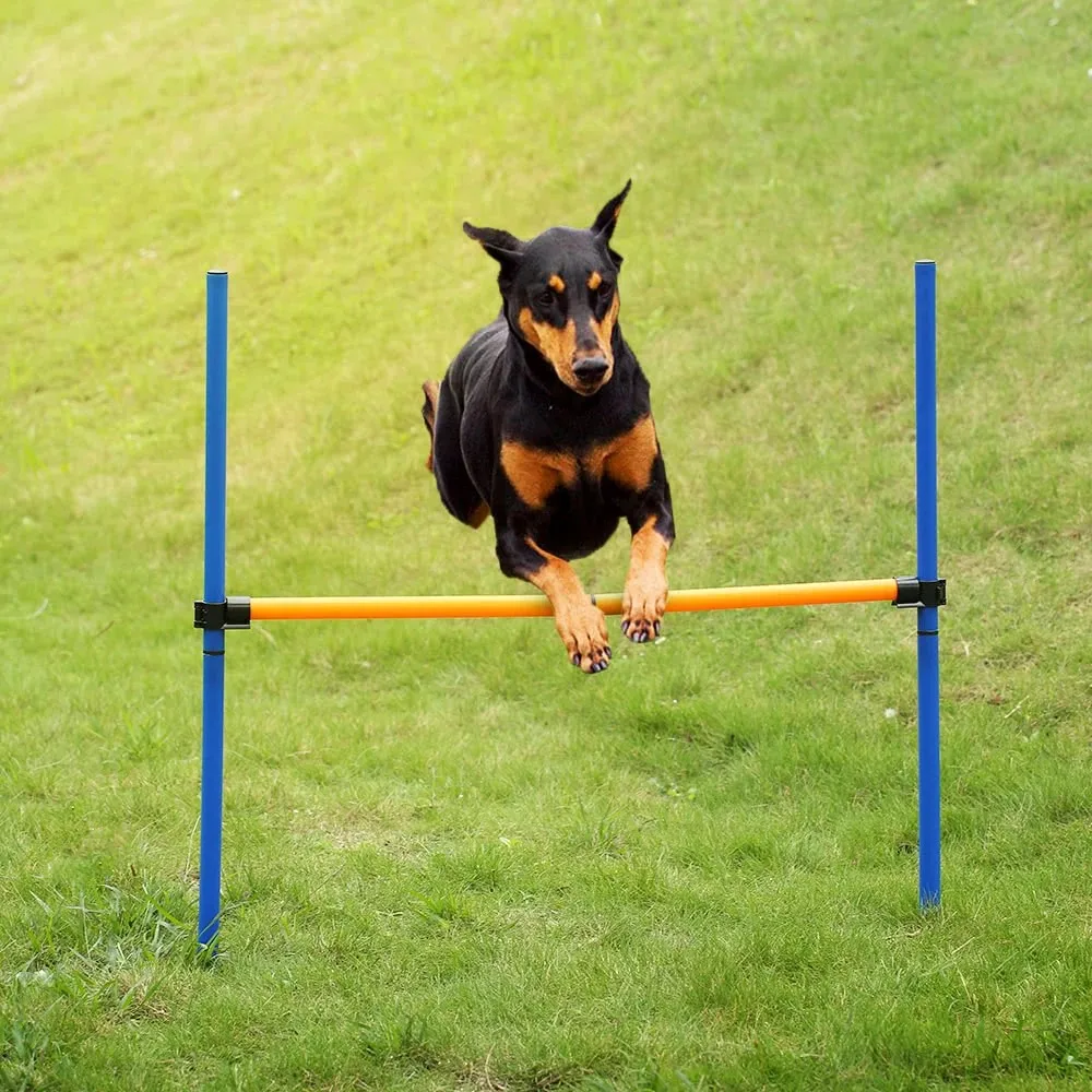 Outdoor Pet Dog Agility Sports Games Training Equipment Dogs Jump Hurdle Bar Obedience Show Activity Exercise Pole Set | Дом и сад