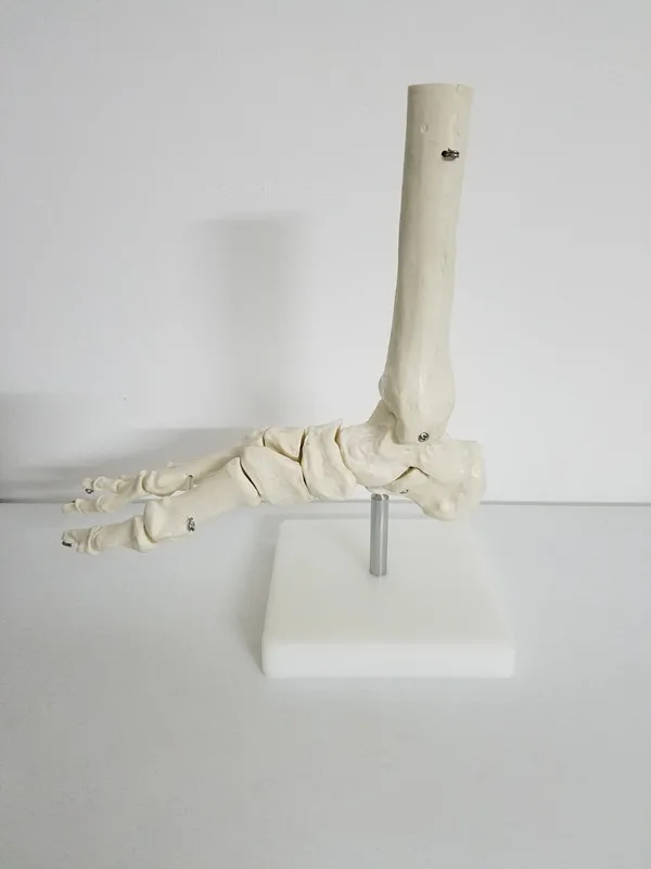 3_