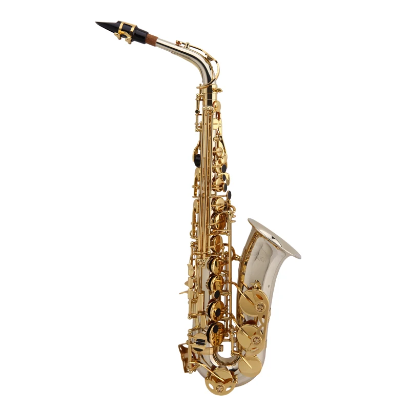 Sachs Vernice Bicolore Oro Sassofono Contralto E