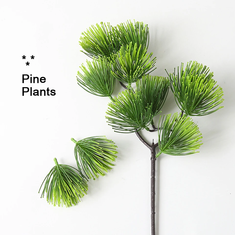 4plants 2