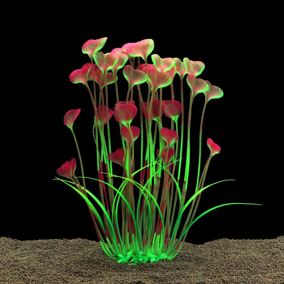 planted aquarium supplies