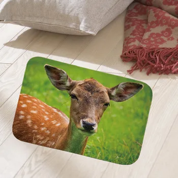 

Quality printing 40x60cm floor mat hallway doormat suede Welcome front entrance door mat anti-slip water Water absorption carpet