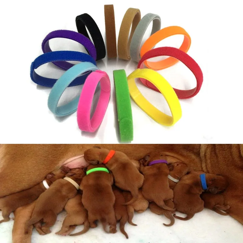 

12 Pcs/Set Newborn Pets Identify Collars Adjustable Nylon Small Pet Puppy Dog Collars Kitten Necklace Whelping Puppy Collars