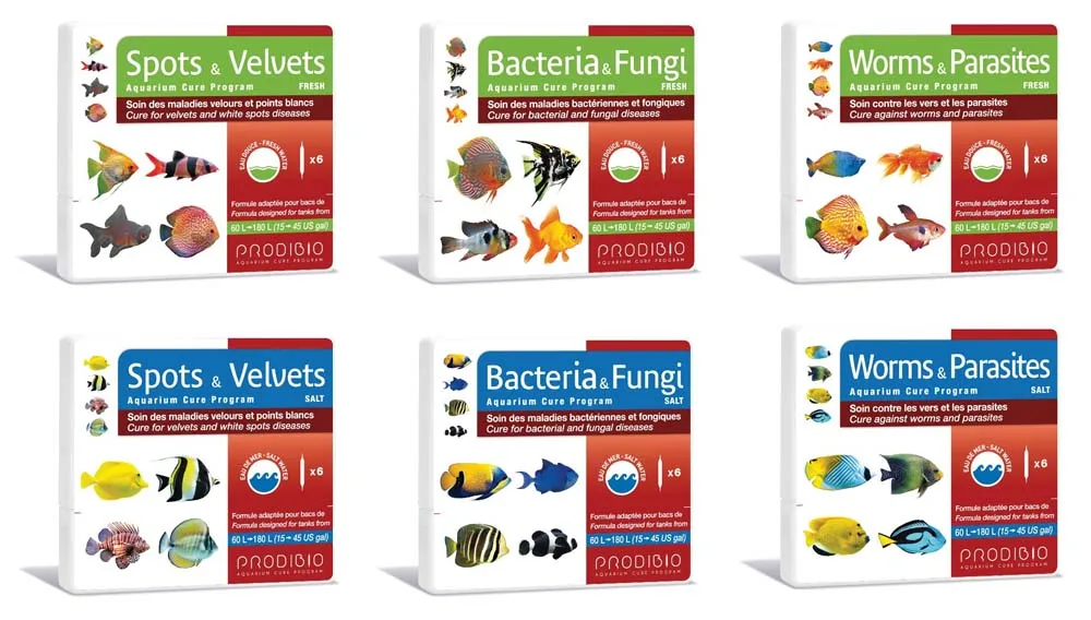 bacterias parasitos y hongos
