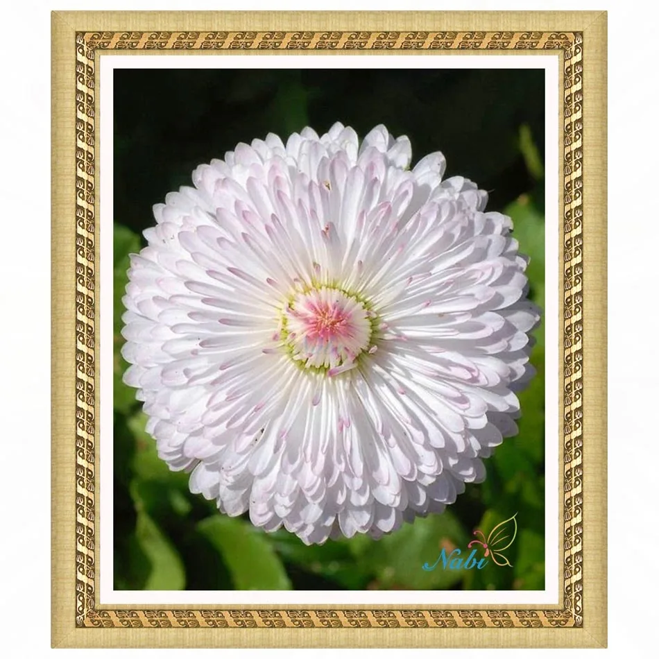 aeProduct.getSubject()