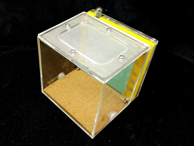 ant-home (6)